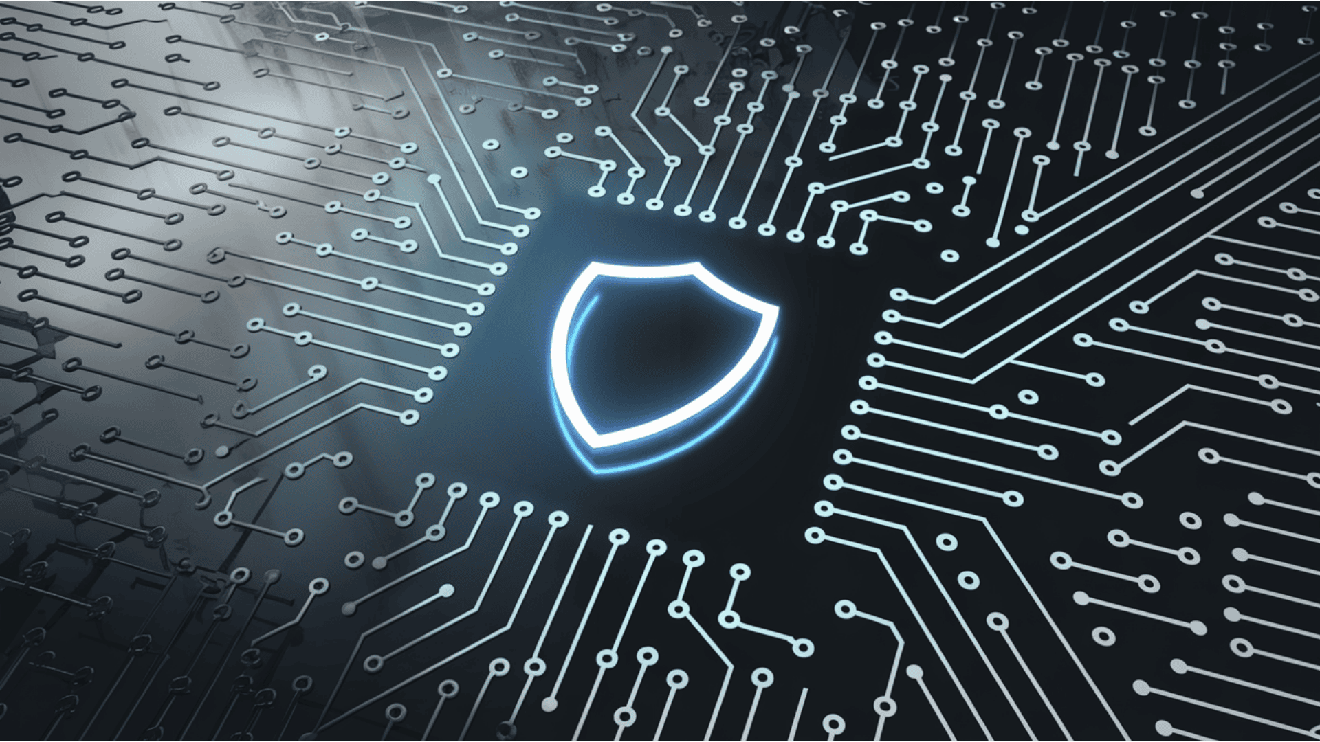 Federal and State Resources for Small Businesses